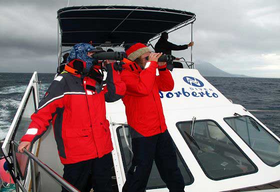 Spotting cetaceans
